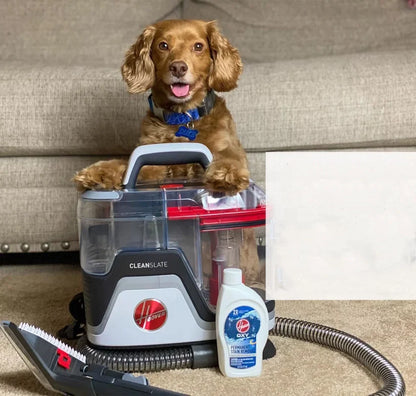 Leblonzo - Aspirateur pour tapis et taches d'animaux